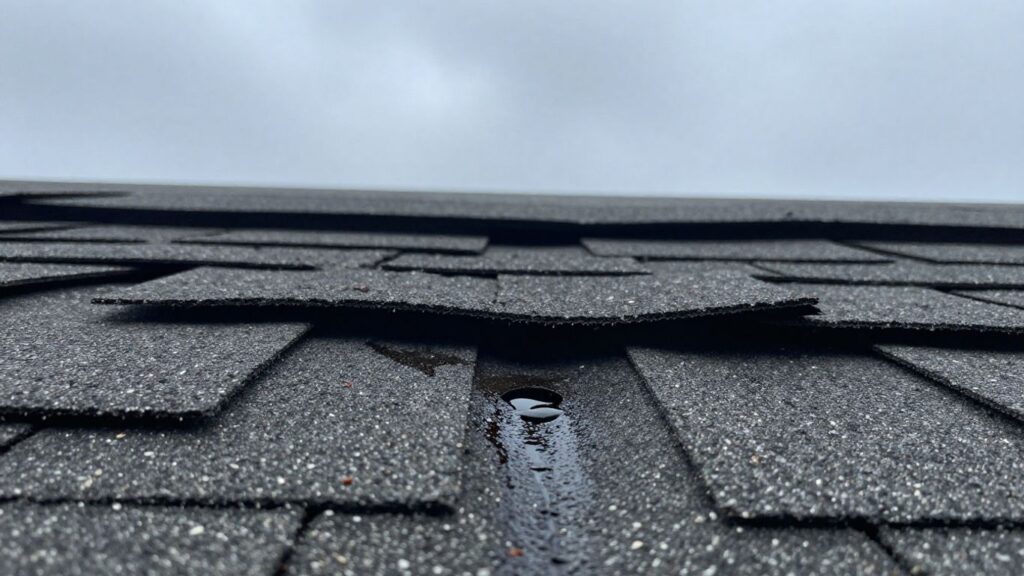 Damaged roof shingles with water stains and missing pieces.